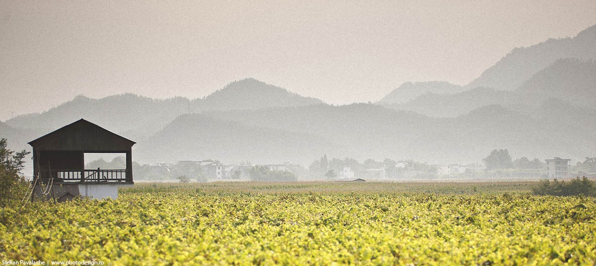 Huangshan City